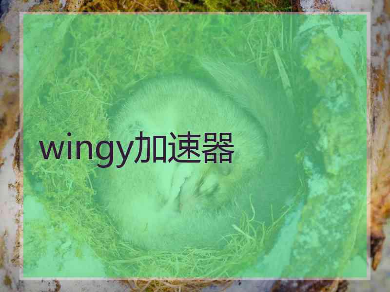 wingy加速器 wingy加速器