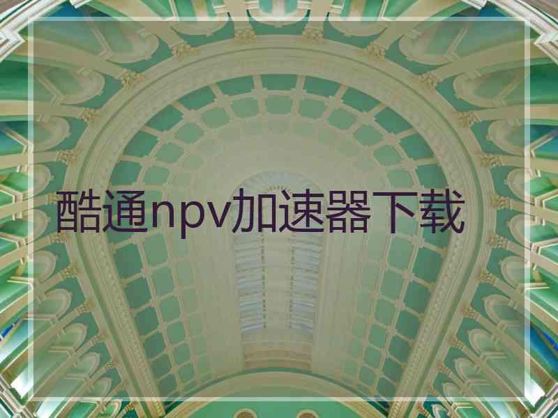 酷通npv加速器下载 酷通npv加速器下载