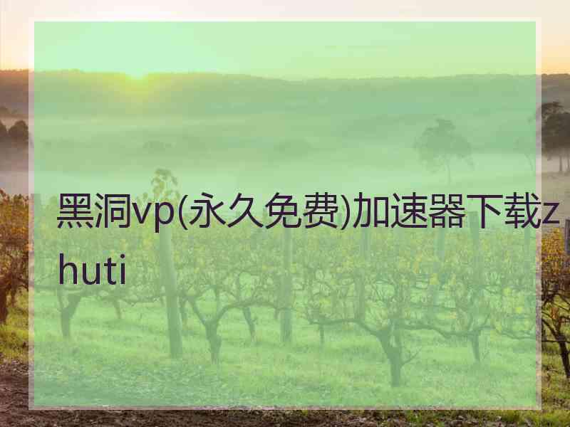黑洞vp(永久免费)加速器下载zhuti 黑洞vp(永久免费)加速器下载zhuti