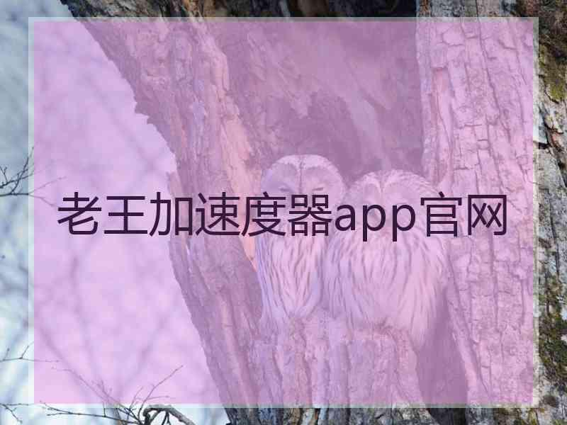 老王加速度器app官网 老王加速度器app官网