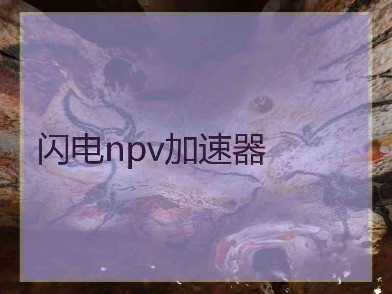 闪电npv加速器 闪电npv加速器