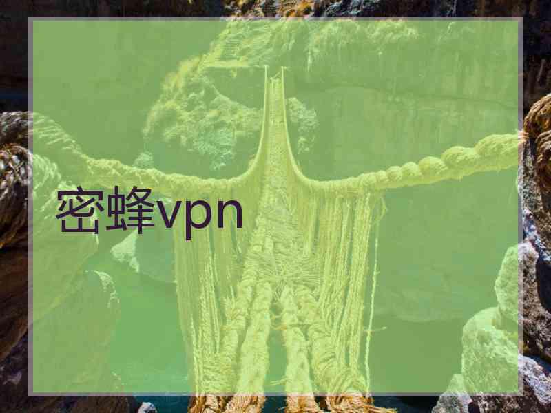密蜂vpn 密蜂vpn
