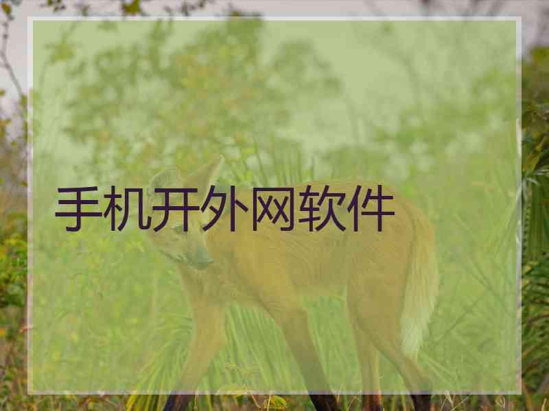 手机开外网软件 手机开外网软件