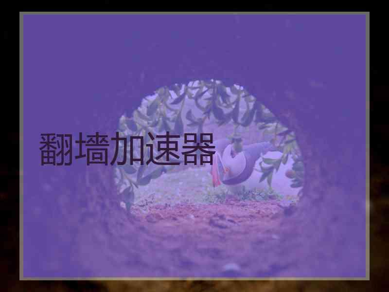 翻墻加速器 翻墻加速器