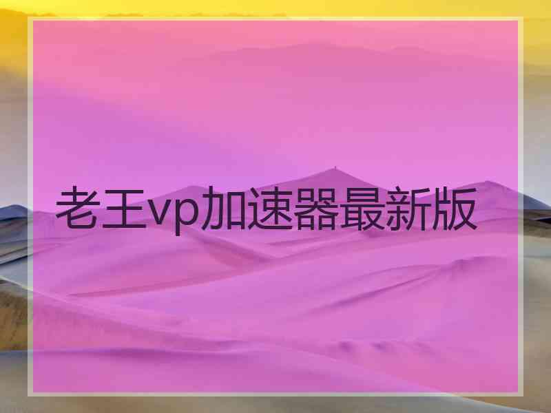 老王vp加速器最新版