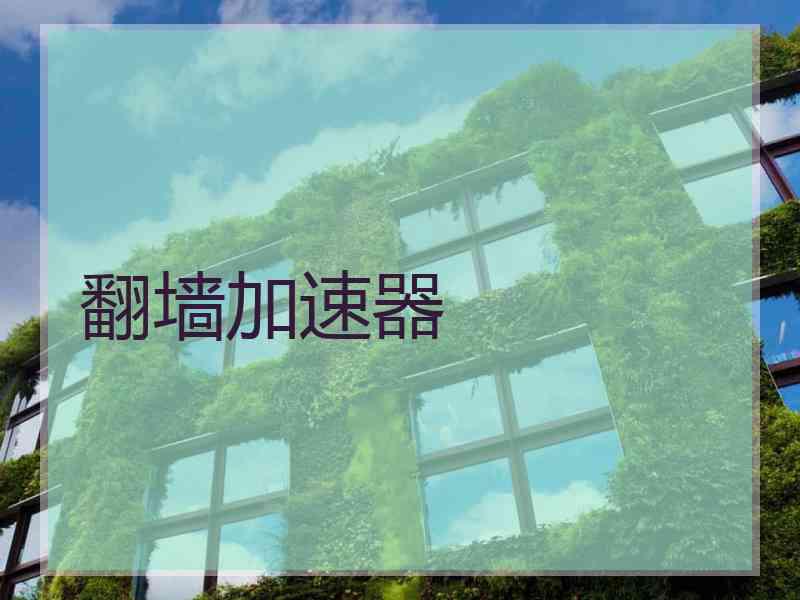 翻墙加速器 翻墙加速器