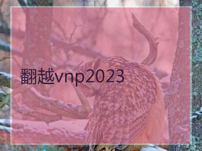 翻越vnp2023 翻越vnp2023