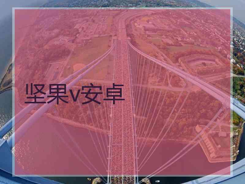 坚果v安卓 坚果v安卓
