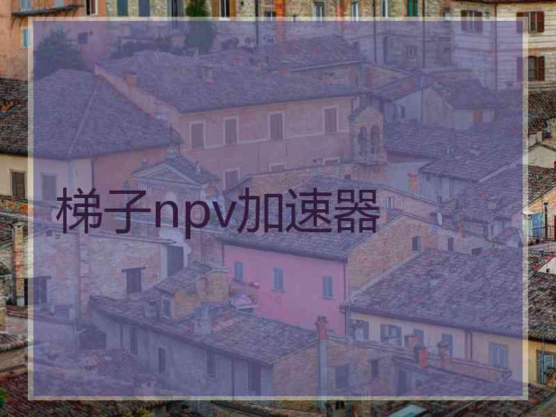 梯子npv加速器 梯子npv加速器