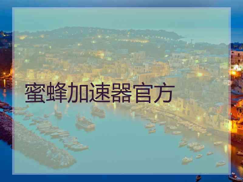 蜜蜂加速器官方