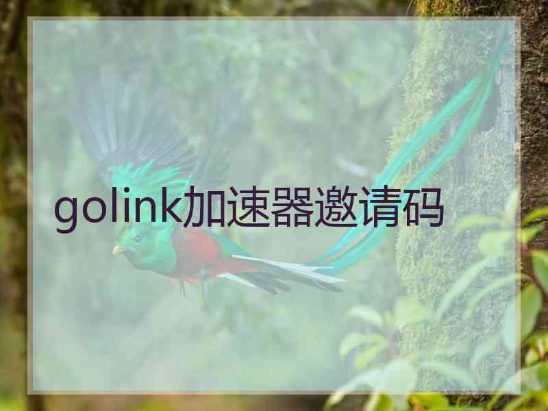 golink加速器邀请码