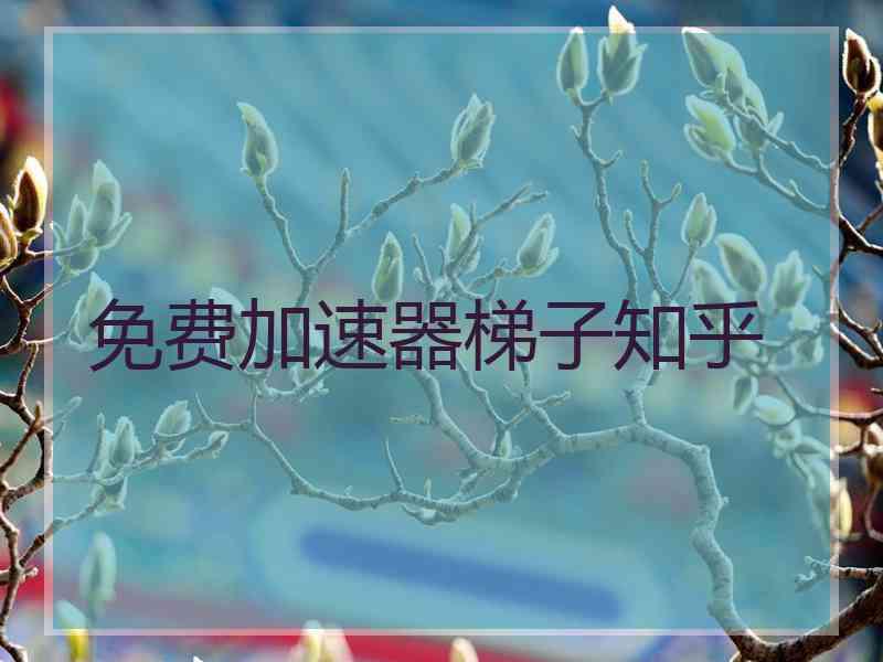 免费加速器梯子知乎