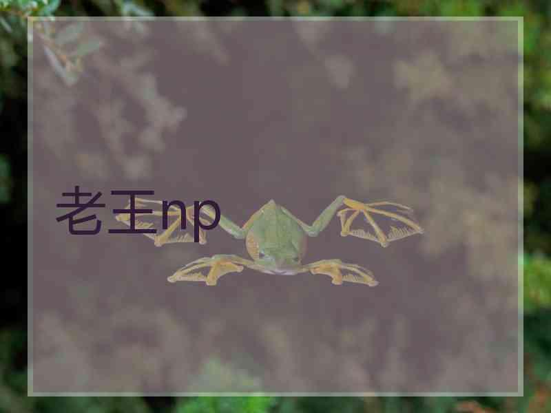 老王np