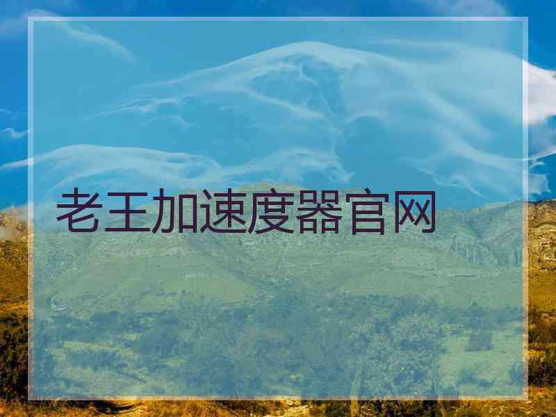 老王加速度器官网
