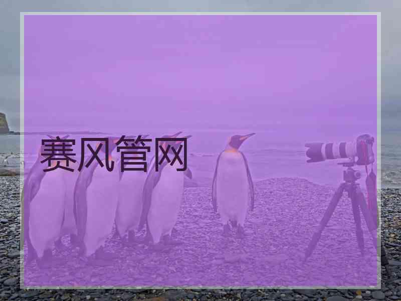 赛风管网