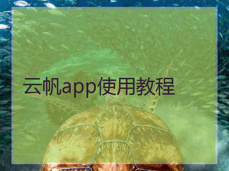 云帆app使用教程