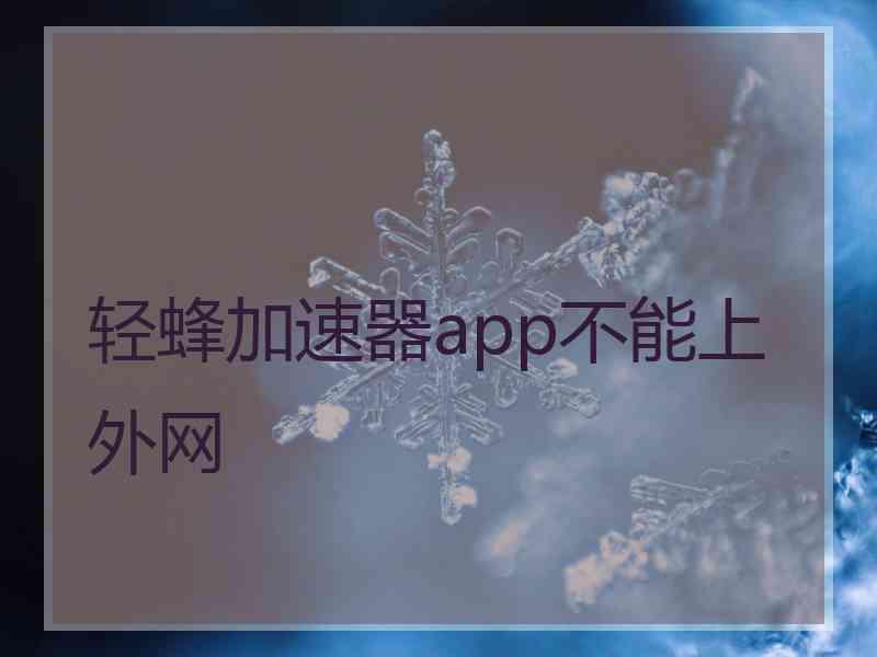 轻蜂加速器app不能上外网