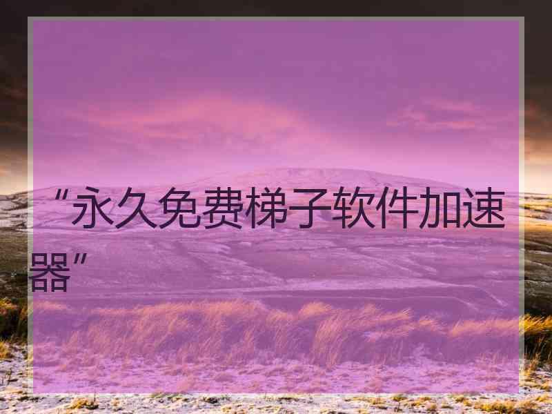 “永久免费梯子软件加速器”