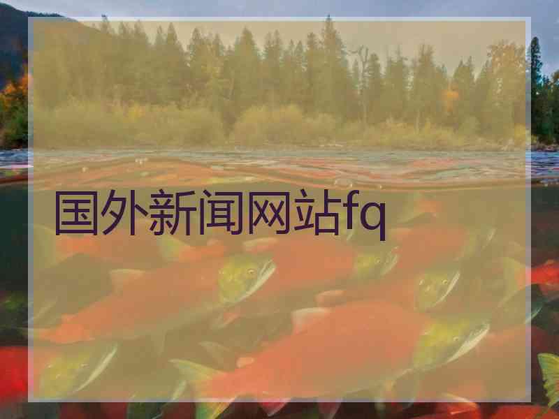 国外新闻网站fq