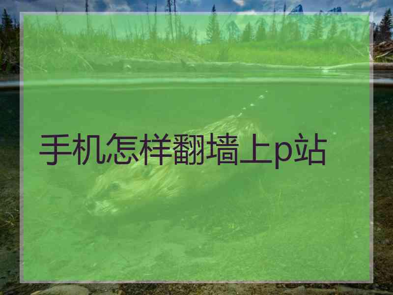 手机怎样翻墙上p站