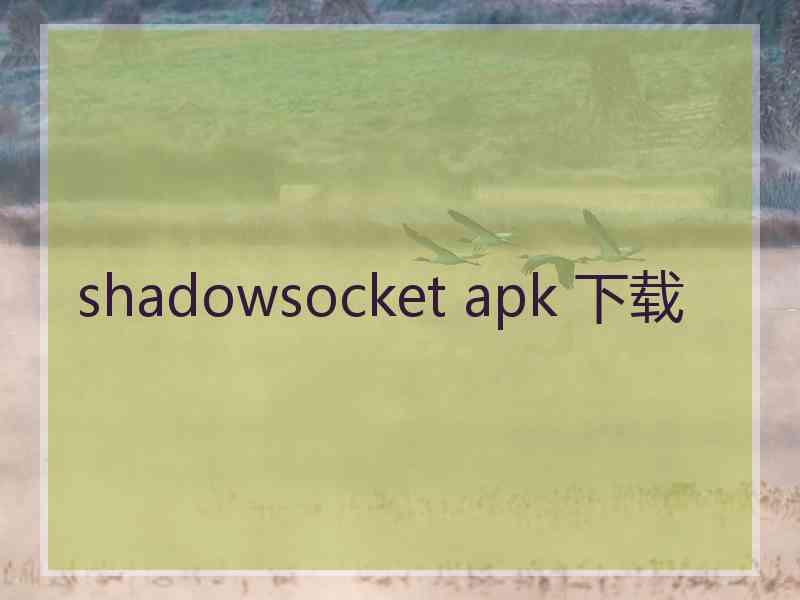 shadowsocket apk 下载