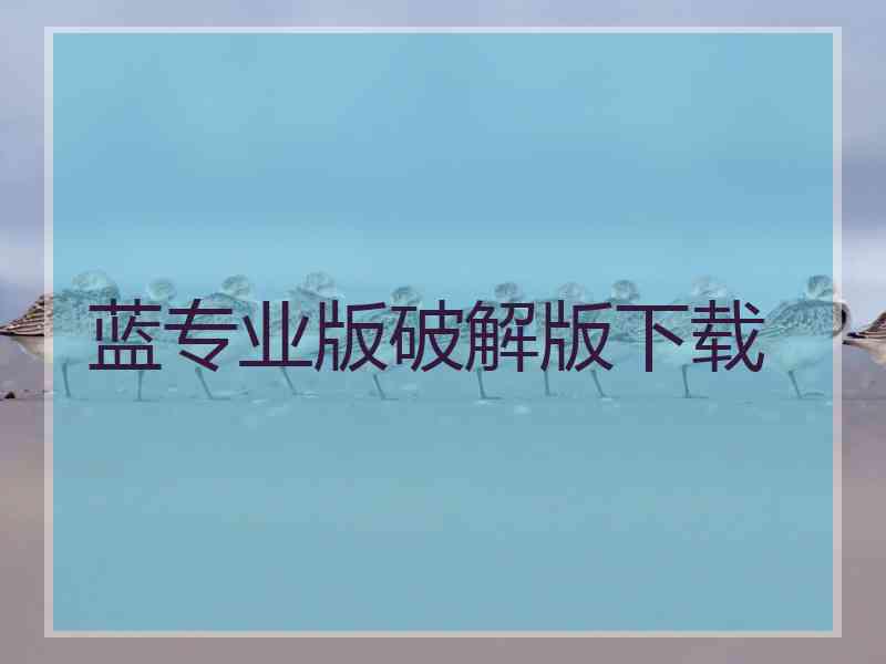 蓝专业版破解版下载