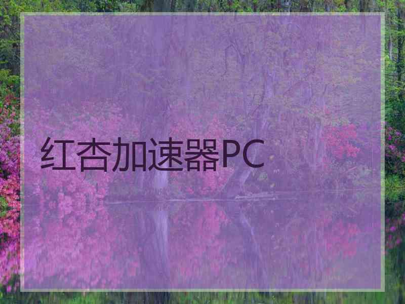 红杏加速器PC
