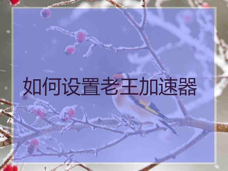 如何设置老王加速器
