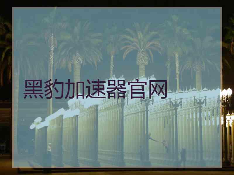 黑豹加速器官网