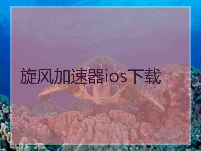 旋风加速器ios下载