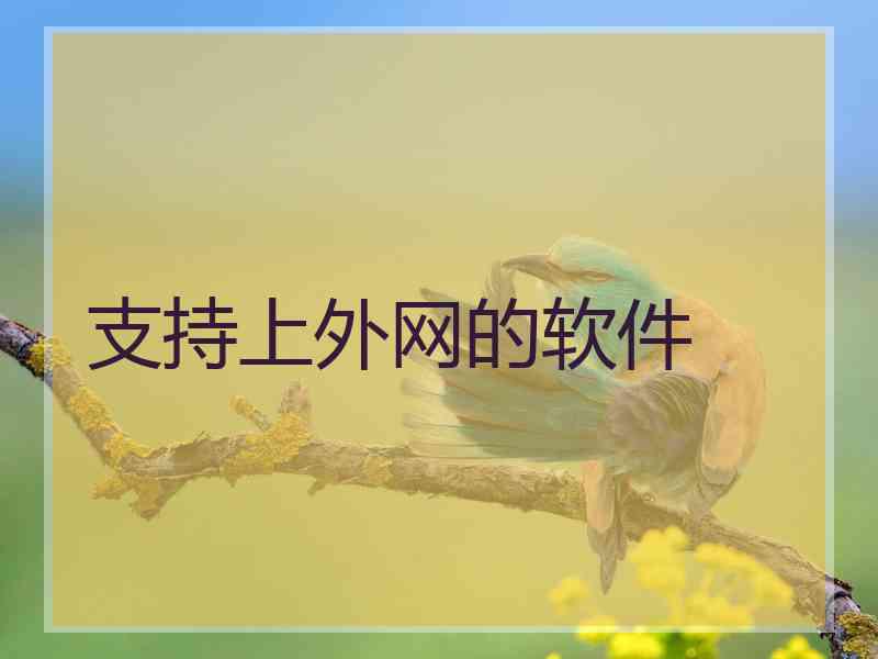 支持上外网的软件