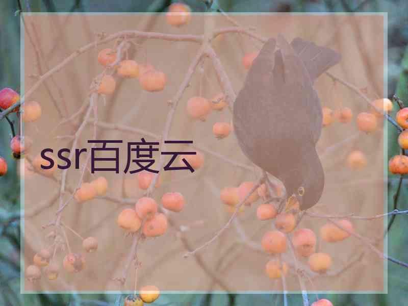 ssr百度云
