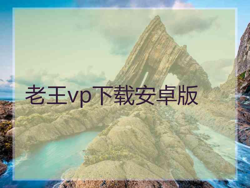 老王vp下载安卓版