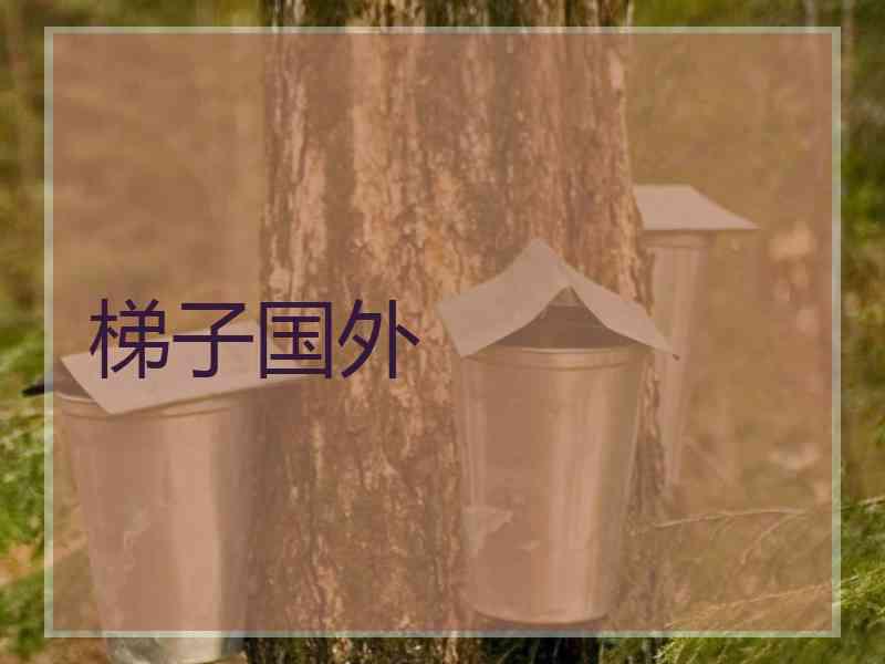 梯子国外