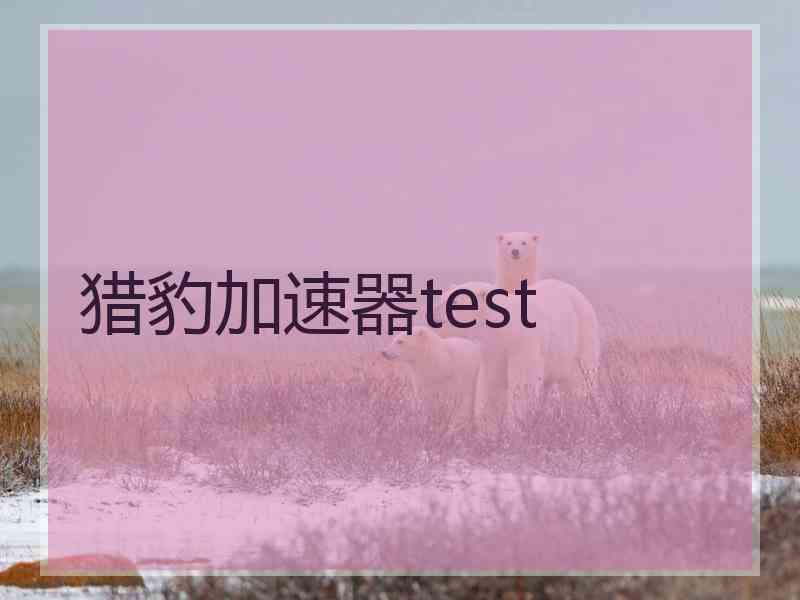 猎豹加速器test