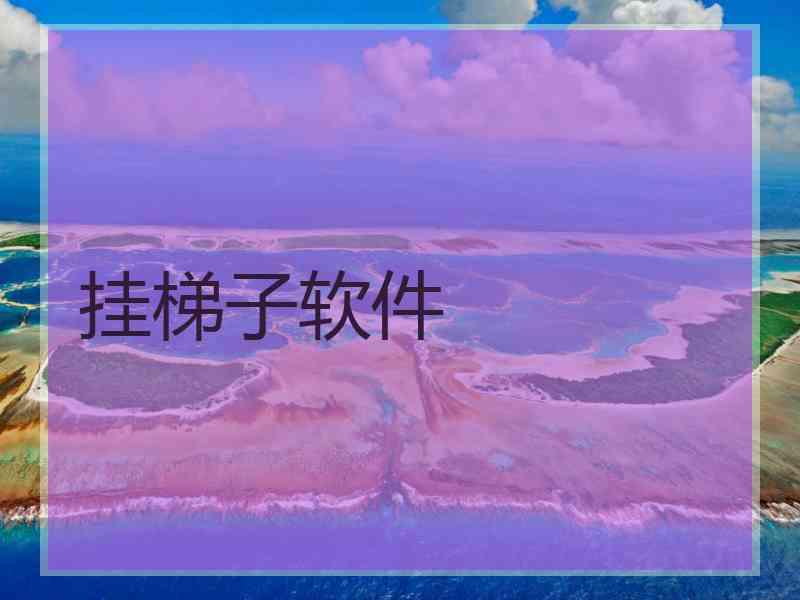 挂梯子软件