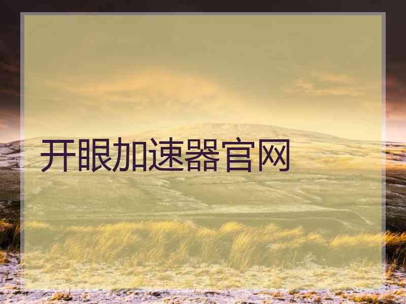 开眼加速器官网