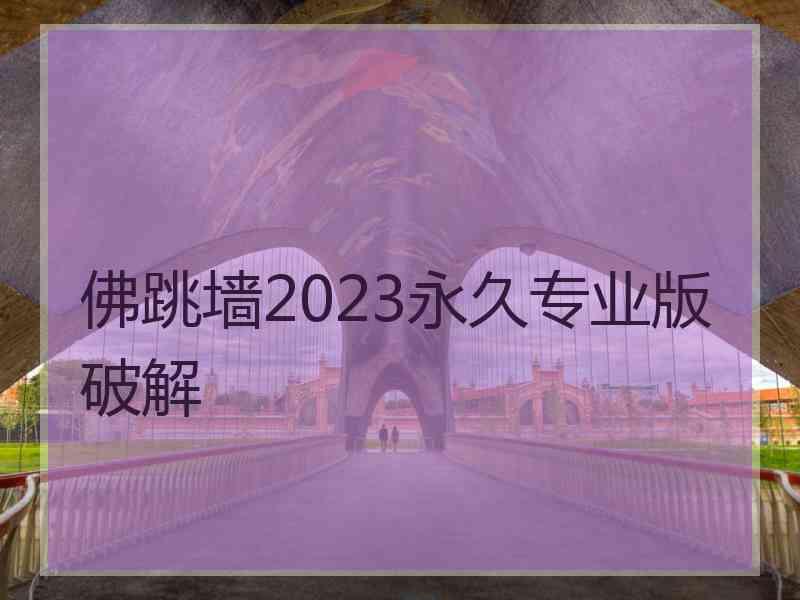 佛跳墙2023永久专业版破解