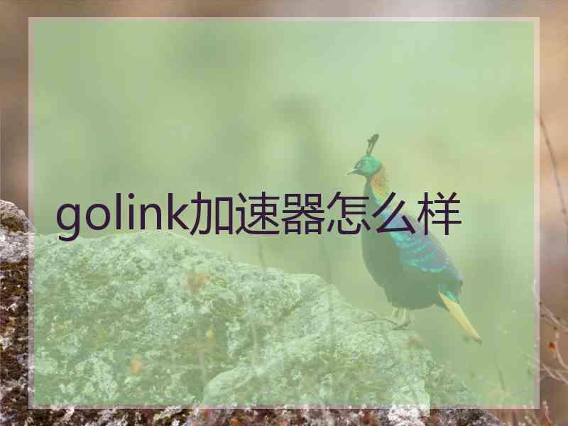 golink加速器怎么样