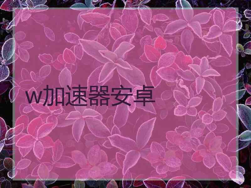 w加速器安卓