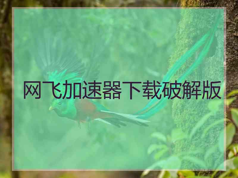 网飞加速器下载破解版