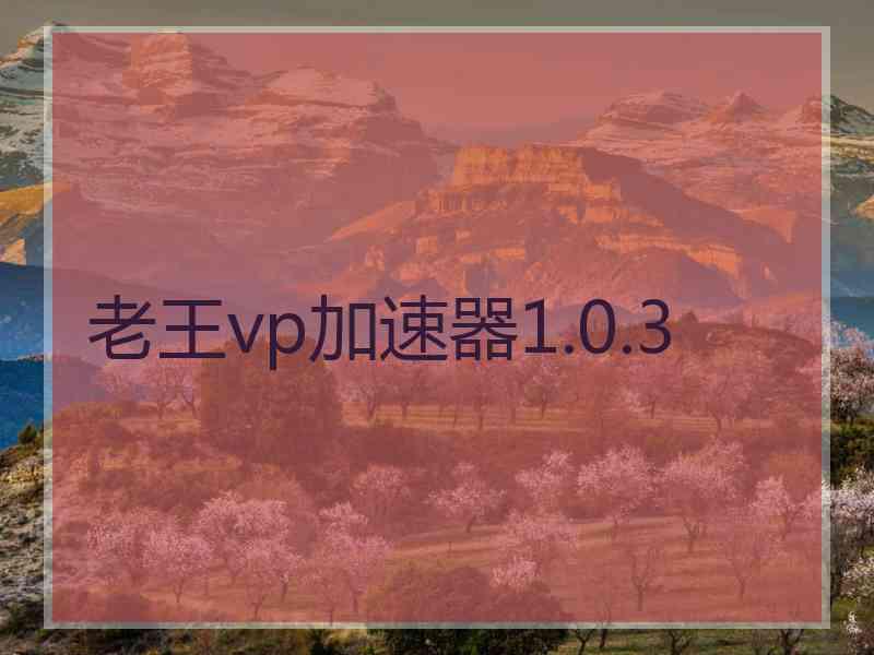 老王vp加速器1.0.3
