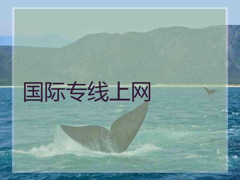 国际专线上网