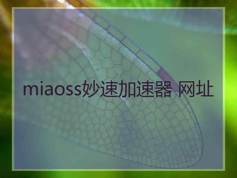 miaoss妙速加速器 网址