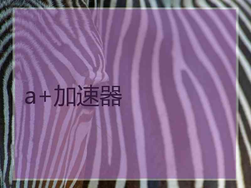 a+加速器