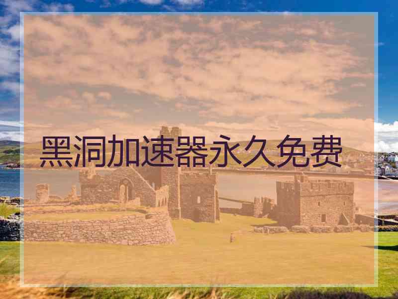 黑洞加速器永久免费