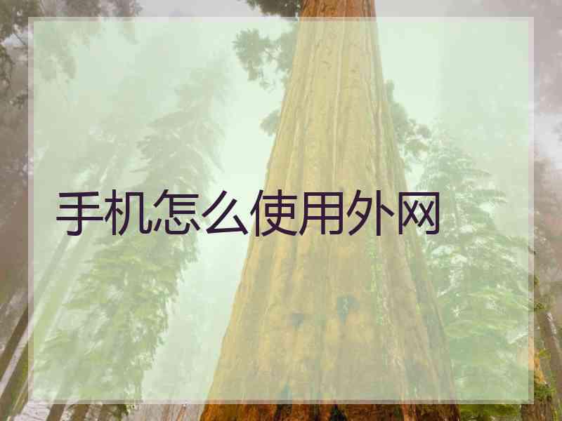 手机怎么使用外网