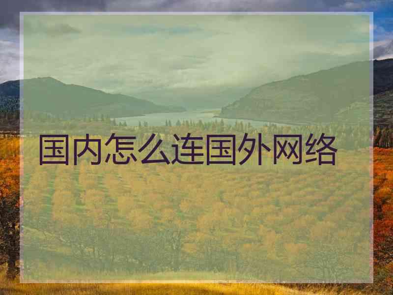 国内怎么连国外网络