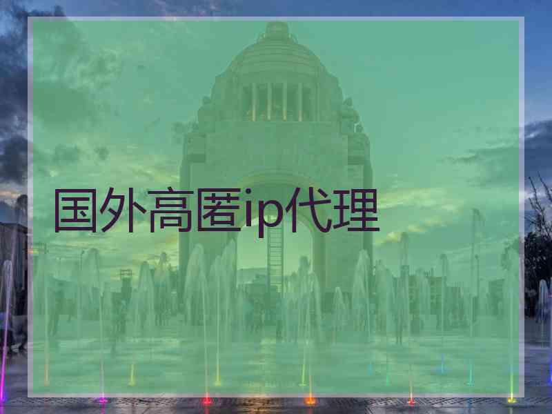 国外高匿ip代理