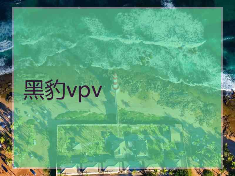 黑豹vpv